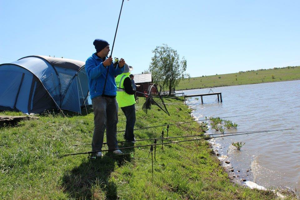 La Greaca Cercani in familie - Multe multe drilluri